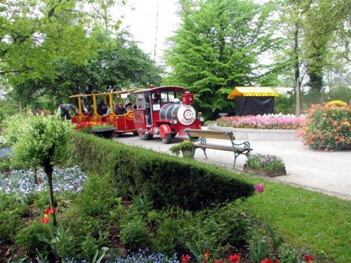 Po arboretumu vozi obiskovalce tudi turistični vlak